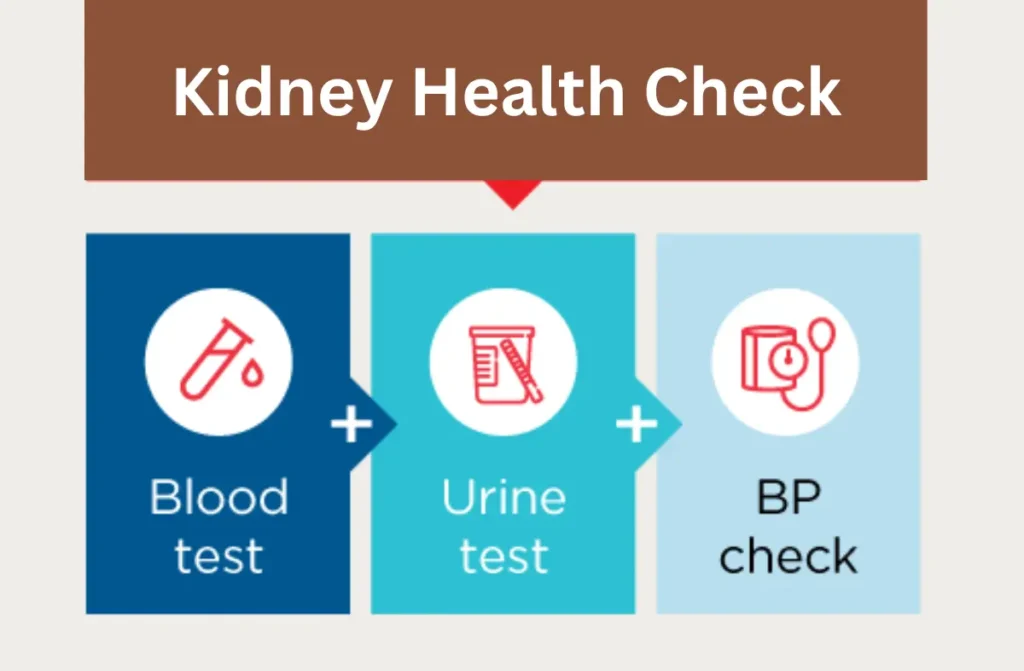 Tests to Check Your Kidney Health